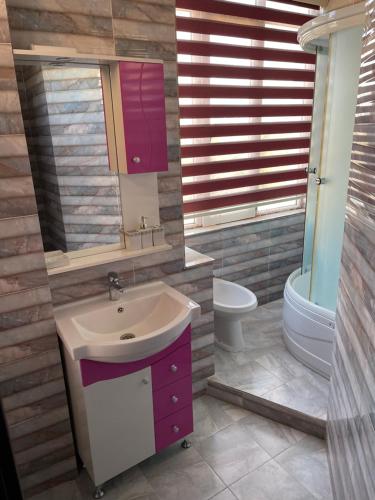 杜尚別的住宿－Flamingo，一间带水槽和卫生间的浴室