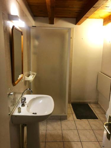 une salle de bain avec un lavabo et une douche dans l'établissement Maison charmante à Maleville avec jardin privé et parking.B, à Maleville