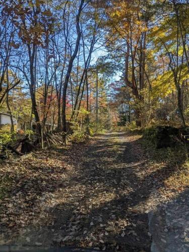 a dirt road with trees and leaves on the ground at Kartoffel in Kita-karuizawa