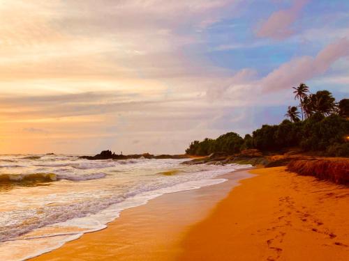 a sandy beach with palm trees and the ocean at Manel Villa in Bentota
