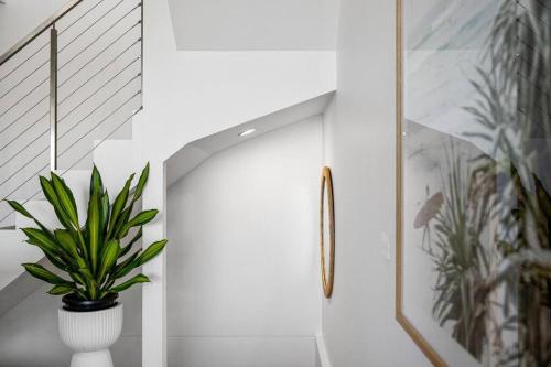 a plant in a white hallway with a staircase at Sandy@Village - newly renovated + bay views in Sandringham