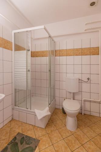a bathroom with a shower and a toilet at Betli Panzió in Zalaegerszeg
