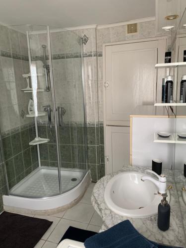 a bathroom with a shower and a sink and a tub at Maison indépendante à la campagne in Courcelles-sur-Vesle