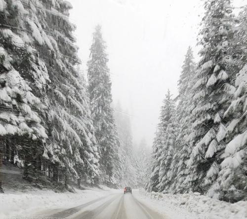 a car driving down a snowy road with snow covered trees at Apartmani Sestosed-Snezna Dolina in Jahorina