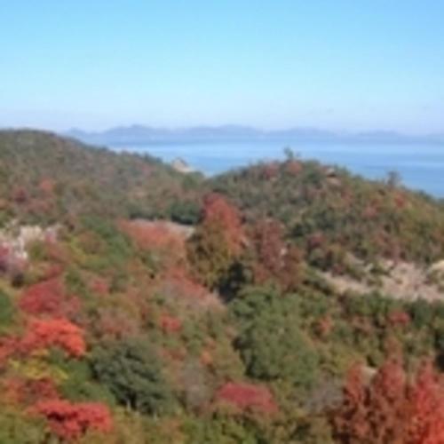 auliculiculiculiculiculiculiculiculiculiculiculiculiculiculic at Kyukamura Setouchi-Toyo in Saijo