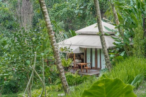 Zahrada ubytování Galalima Glamping by AGATA