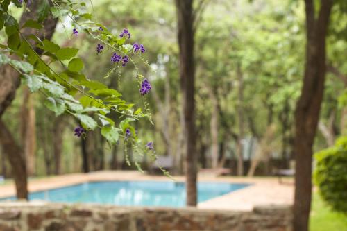 una piscina in un parco con alberi e fiori viola di Woodlands Lilongwe a Lilongwe