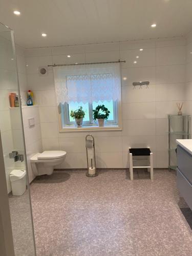 ein Bad mit WC und ein Fenster mit zwei Topfpflanzen in der Unterkunft The house of Mattis in beautiful Innvik in Innvik