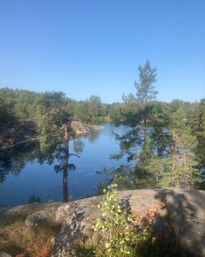a view of a lake in the middle of a forest at Stockholms home away from home in Stockholm