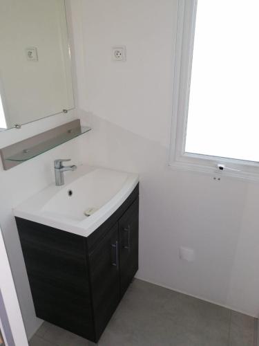 une salle de bain avec un lavabo et un miroir dans l'établissement Mobilhome 6/8 personnes Piriac sur Mer, à Piriac-sur-Mer