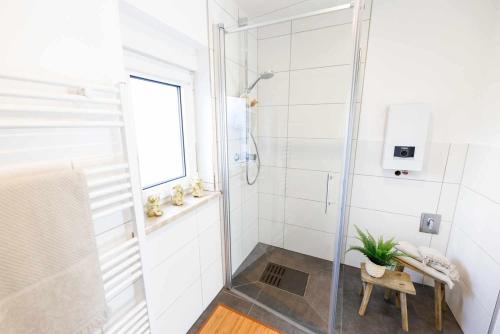 y baño con ducha y planta. en Spacious 6 Room Flat *Balcony & Terrace*, en Darmstadt