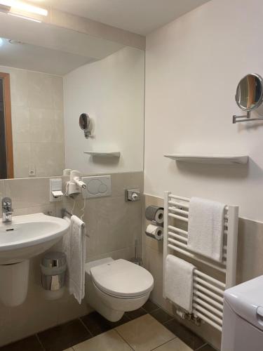 a bathroom with a white toilet and a sink at Maisonette-Apartment An der Frauenkirche in Dresden