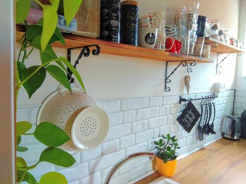 a kitchen counter with shelves and a plant on it at "Stone's throw" KRUMLOV 5 min by car, LIPNO 15 min by car, 2 bdrooms,playroom in Kájov