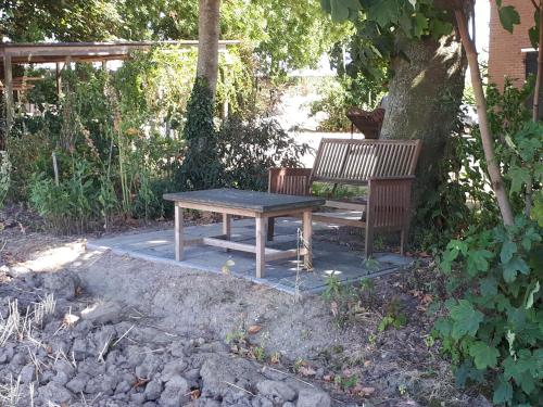 Κήπος έξω από το “In Oans Oefje” Parel in de polder!