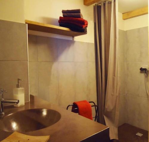 baño con lavabo y cortina de ducha en STUDIO TERRASSE PISCINE UZES PONT DU GARD en Pougnadoresse