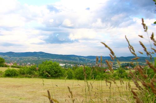 a field of grass with a city in the background at KOŃSKA GÓRKA Agroturystyka in Rabka