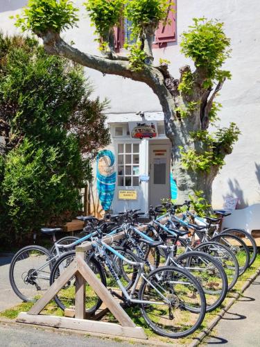 um monte de bicicletas estacionadas em frente a um edifício em SURF HOSTEL BIARRITZ em Biarritz