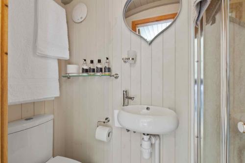ein Badezimmer mit einem Waschbecken, einem WC und einem Spiegel in der Unterkunft Cromwell's Hideaway in Monmouth