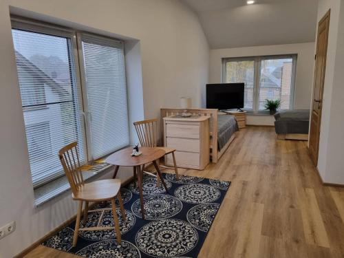 TV a/nebo společenská místnost v ubytování Neris apartments