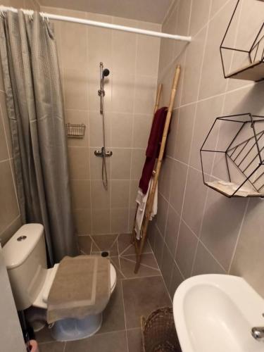 a bathroom with a toilet and a shower and a sink at Chambres d'hôte in Thenon