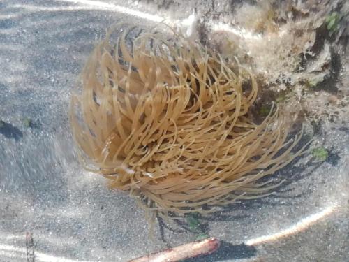a ball of spaghetti sitting on the ground at Hotel Donna Carmela Sede Unica a Sciacca in Sciacca