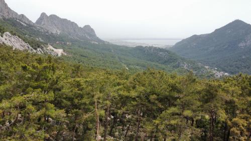 a view of a valley with trees and mountains at Silyan Villas in Antalya