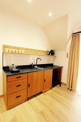 a kitchen with a sink and a counter top at KOŃSKA GÓRKA Agroturystyka in Rabka