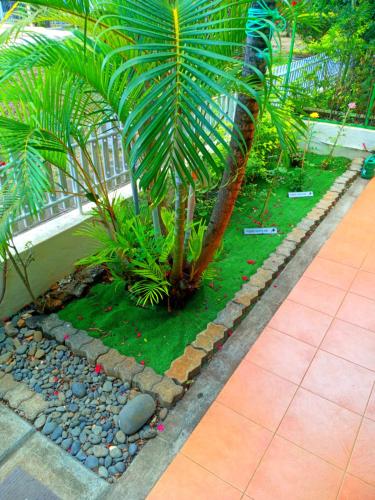 a palm tree in a garden with rocks and grass at PRIM 29 in Flic-en-Flac