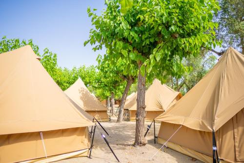 a group of tents with a tree in the middle at Camping Cambrils Caban in Cambrils