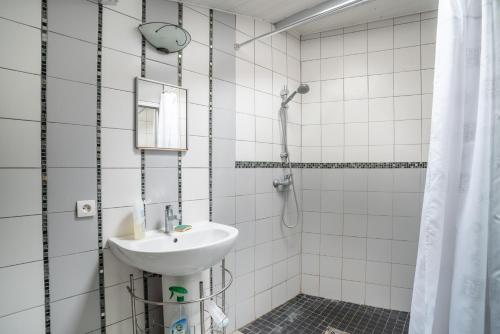 La salle de bains est pourvue d'un lavabo et d'une douche. dans l'établissement Maison d'une chambre avec jardin clos et wifi a La Bretonniere la Claye, 