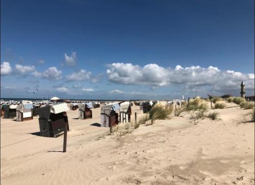 a beach with a bunch of beach chairs in the sand at Birnbom Warnemünde in Warnemünde