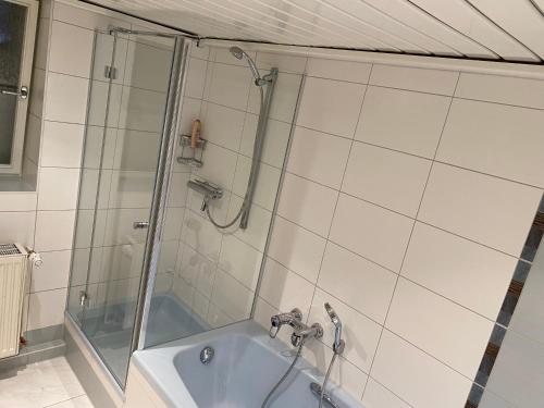 La salle de bains est pourvue d'une douche et d'un lavabo. dans l'établissement Zur Tischlerei, à Großröhrsdorf