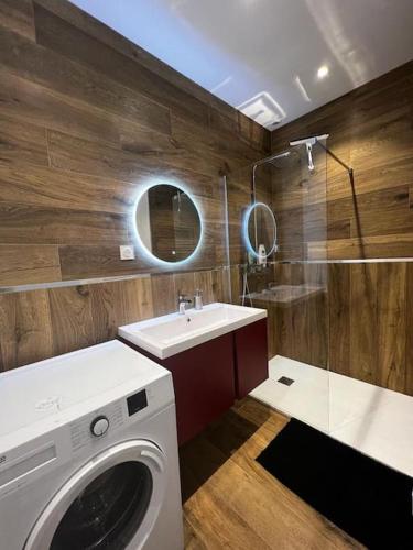 y baño con lavadora y lavamanos. en Bel appartement en centre ville de Limoges en Limoges
