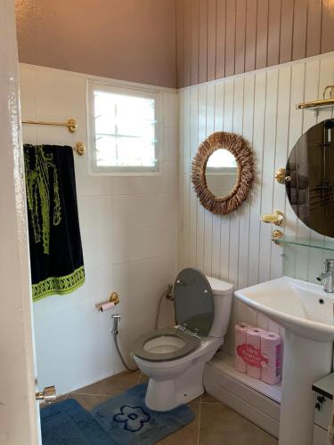 ein Badezimmer mit einem WC, einem Waschbecken und einem Spiegel in der Unterkunft Villa Eden Wood in Ivato