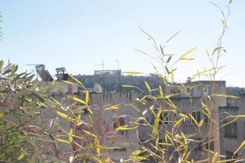 Central and Comfy with Private Balcony and Rooftop Access - CT3