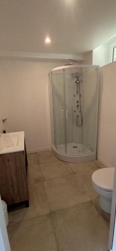 a bathroom with a shower and a toilet at Le gîte de l'Ecurie in Forges-la-Forêt