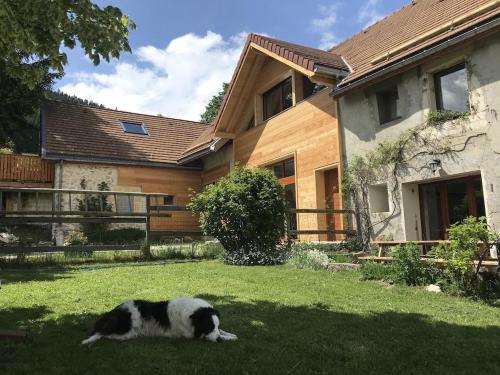 un chat allongé dans l'herbe devant une maison dans l'établissement Gites de la Planta, à Le Bouilly