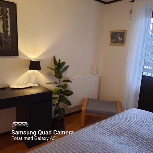 a bedroom with a bed and a desk and a plant at Naturnära dubbelrum B&B i Uppsala Ramstalund in Uppsala