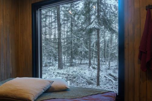een raam met uitzicht op een met sneeuw bedekt bos bij Venejoen Piilo - Päre in Kontiolahti