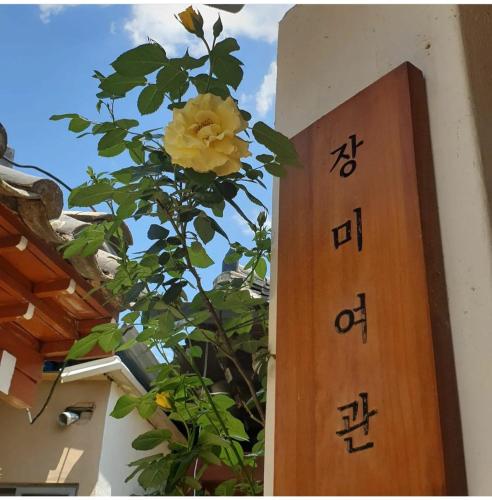 uma flor amarela numa árvore ao lado de uma porta em Rose Guesthouse em Gyeongju