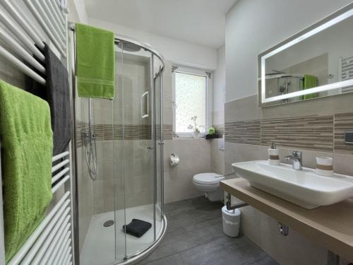 een badkamer met een wastafel, een douche en een toilet bij Ferienhaus SweetDreams in Bad Sachsa