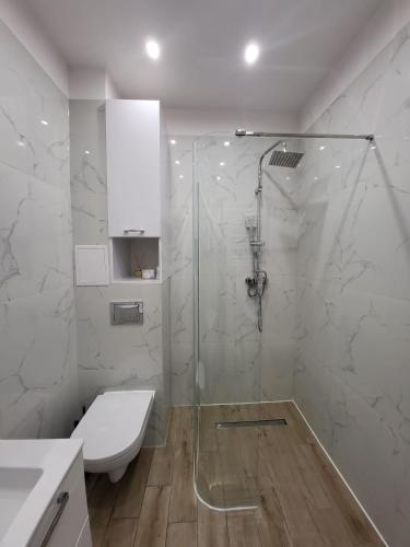 a white bathroom with a shower and a toilet at Apartament przy Lipowej in Białystok