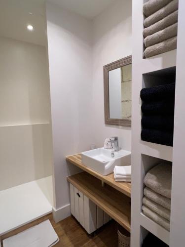 een badkamer met een wastafel en een spiegel bij Luxe et Charme - Le Carré Saint-Silain in Périgueux