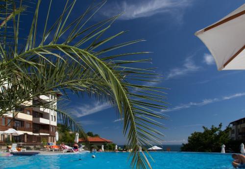 a palm tree sitting next to a swimming pool at Garden of Eden Complex in Sveti Vlas