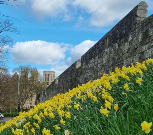 The Old Chapel York photo 40