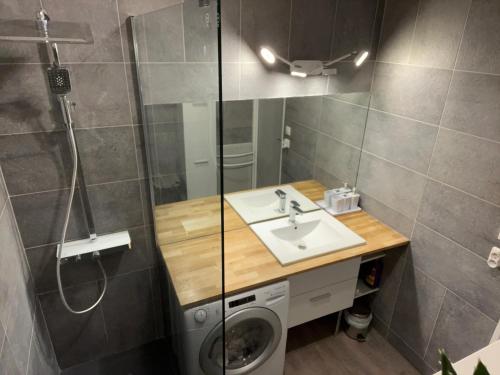 une salle de bain avec douche et lavabo et une machine à laver dans l'établissement Appartement port hyères, à Hyères