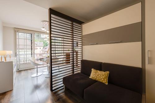 Studio Suite Annecy - Vue sur le château climatisation