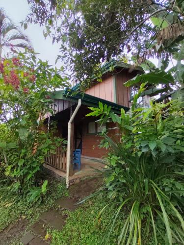 Finca Agroecologica La Flor – Photos 2