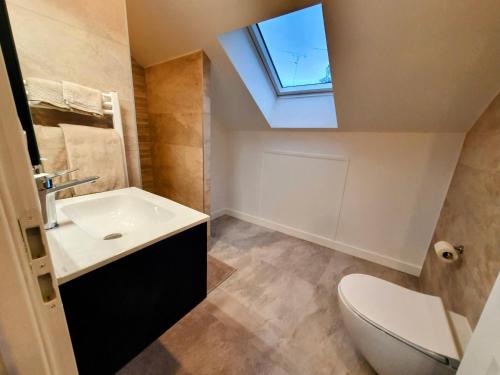 een badkamer met een wastafel en een dakraam bij Appartement Premium dans une belle demeure - Hyper centre-ville de Reims in Reims