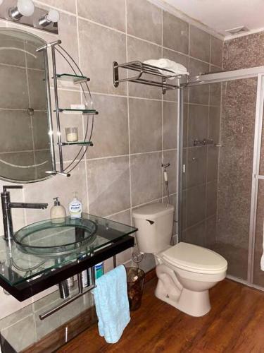 a bathroom with a toilet and a glass sink at Los Alessandria in Cerro Punta
